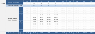 tabela-rozmiarów-stanik-kapielowy-duzy-biust-orientalny-wzor-paisley-FG05_899