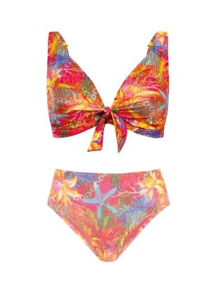 biustonosz-od-bikini-na-duzy-biust-fg241-921-packshot